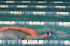 Swimming vs Babson  Wheaton College Swimming vs Babson College. - Photo By: KEITH NORDSTROM : Wheaton, Swimming, Babson